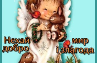 Дорогі друзі, давайте вип’ємо за нашу чудову компанію