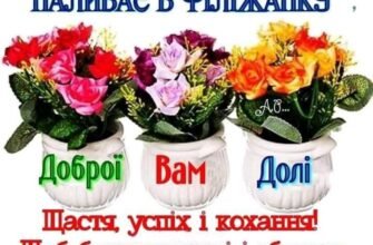 Дорогі друзі, я бажаю, щоб напередодні Нового року ви загадували більше бажань