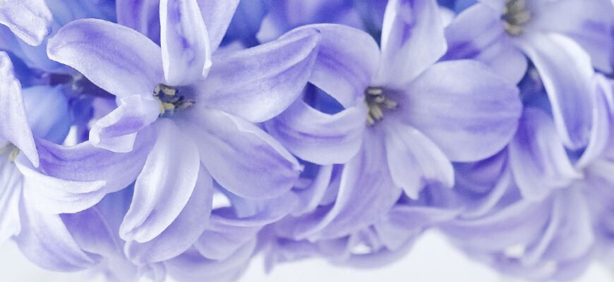 Дорогі колеги, друзі. Піднімаю цей келих за всі наші звершення на роботі