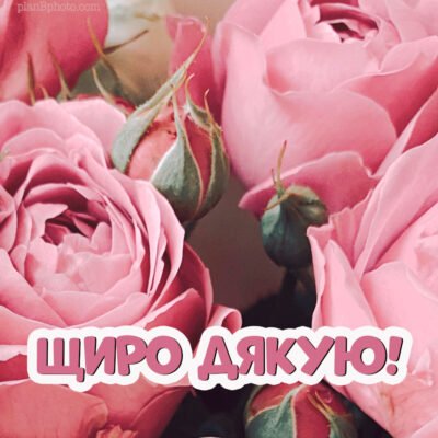 Дорогі мої, дякую за привітання і за те, що ви у мене є