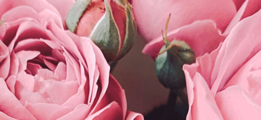 Дорогі мої, дякую за привітання і за те, що ви у мене є