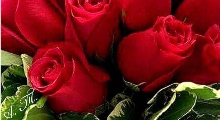 Дорогий друже! У радісний день твоєї появи на світ бажаю тобі вірних друзів