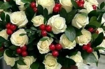 Дорогий хрещений, нехай в твій день народження щастя не покидає твій дім