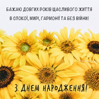 Дорогий Шеф! Вітаю вас з днем народження і бажаю вам зберегти життєву силу