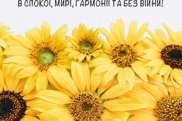 Дорогий Шеф! Вітаю вас з днем народження і бажаю вам зберегти життєву силу