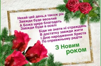 Друзі мої хочу всіх вас привітати з Новим Роком!
