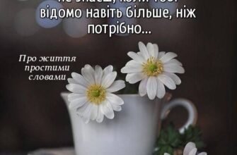 Друзі, пропоную випити за те, щоб у нашому світі ніколи не закінчувалася радість