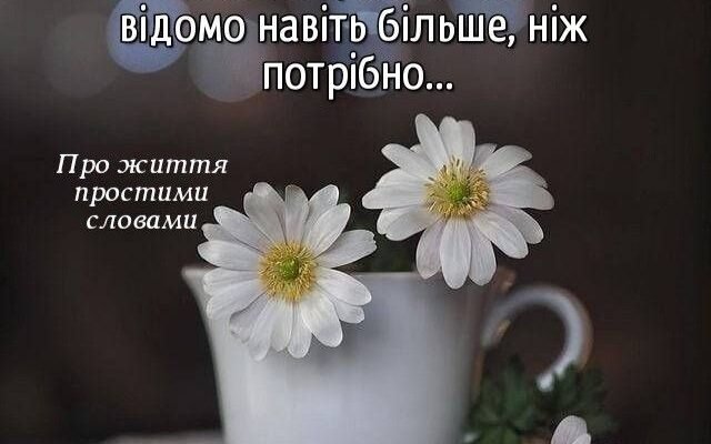 Друзі, пропоную випити за те, щоб у нашому світі ніколи не закінчувалася радість