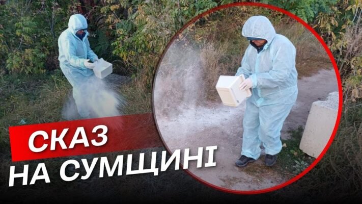 Душа місця не знаходить, мій зайчик захворів