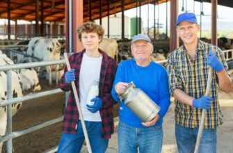 Як оформити та зареєструвати фермерське господарство в Україні: поради