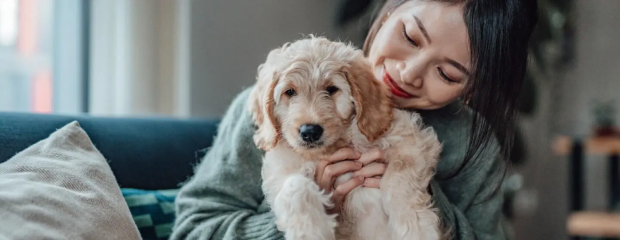 Як обрати корм для цуценяти: поради ветеринара та огляд Pro Plan® Puppy Як обрати корм для цуценяти: поради ветеринара та огляд Pro Plan® Puppy