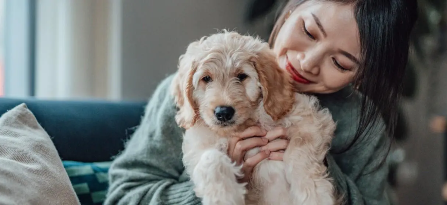 Як обрати корм для цуценяти: поради ветеринара та огляд Pro Plan® Puppy