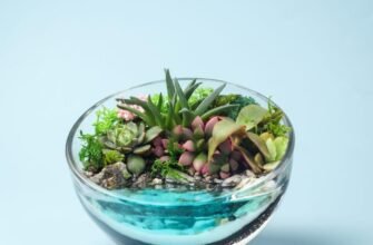 Як власноруч створити флораріум: покрокова інструкція для новачків