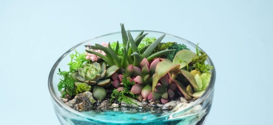Як власноруч створити флораріум: покрокова інструкція для новачків