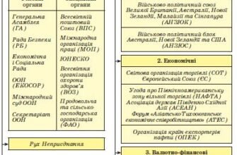 Роль міжнародних організацій у глобальному розвитку: аналіз і вплив