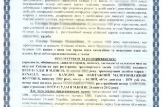Як оформити генеральну довіреність на авто: детальна покрокова інструкція