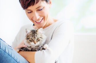 Посібник із готелів і послуг з догляду за котами