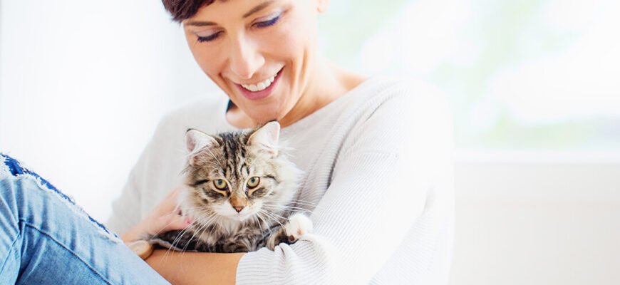 Посібник із готелів і послуг з догляду за котами