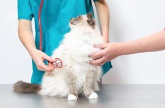 Допомога у відновленні після операції