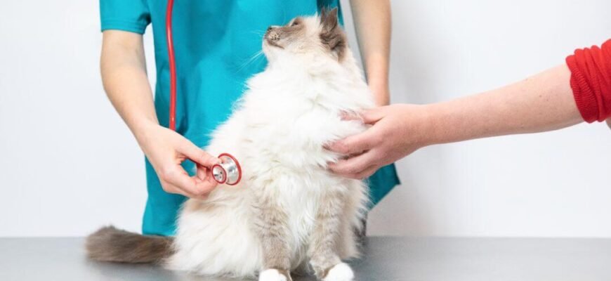 Допомога у відновленні після операції