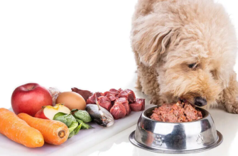 Субпродукти для собак: повний гід з натурального харчування