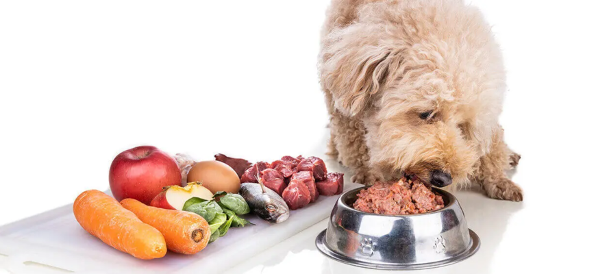 Субпродукти для собак: повний гід з натурального харчування