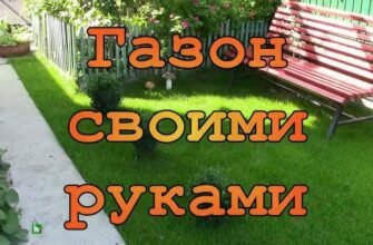 Як самостійно створити ідеальний газон: покрокова інструкція для дому