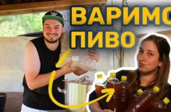 Як зробити пиво вдома: покрокове відео для початківців пивоварів