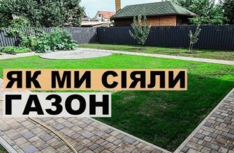 Як самостійно створити ідеальний газон: покрокова інструкція та поради