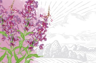 Гутаперча: що це таке, властивості та застосування матеріалу