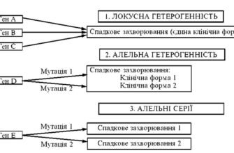 Гетерогенність: Різноманітність та її вплив на ефективність систем