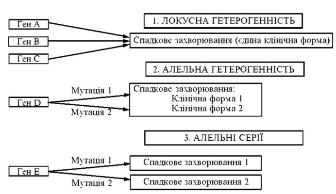 Гетерогенність: Різноманітність та її вплив на ефективність систем Гетерогенність: Різноманітність та її вплив на ефективність систем