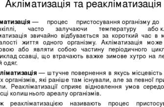 Акліматизація: що це, чому важливо та як правильно адаптуватися?