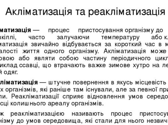 Акліматизація: що це, чому важливо та як правильно адаптуватися?