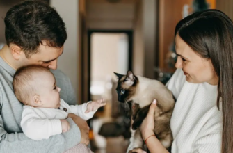 Як безпечно познайомити котів і немовлят вперше