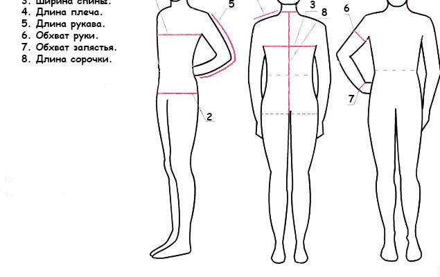 Як правильно зробити заміри тіла чоловіку: покрокова інструкція