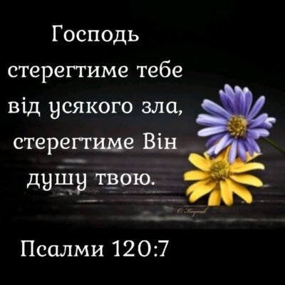 Хай добрий Ангел береже повік Вогонь зорі, що долею зоветься.