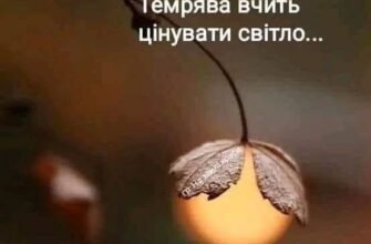 Хай сьогодні світить сонце Для тебе тепло й ясно,