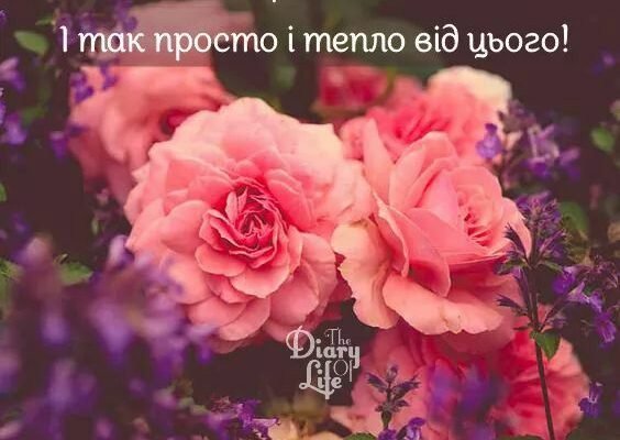 Хочете, щоб ваша жінка посміхалася довше — даруйте їй квіти