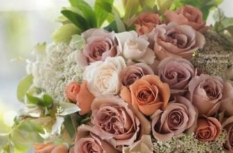 Хочу побажати тобі великих успіхів у роботі