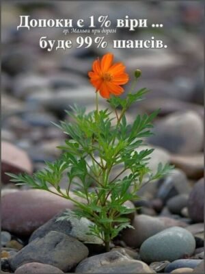 Хочу побажати життя галасливого і яскравого