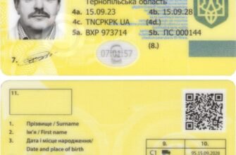 Як отримати Код 95: Докладний гід для водіїв в Україні
