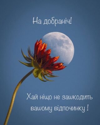 Кохана, спокійної ночі! Нехай твої сни будуть сповнені