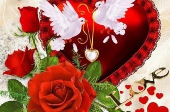 Коханий, з Днем святого Валентина! Нехай наші серця б’ються в унісон