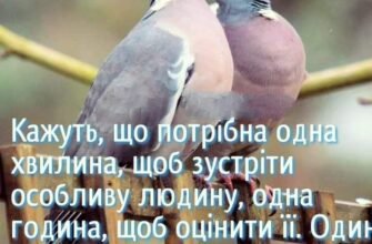 Колись давно один дуже гордий баран відбився від своєї зграї