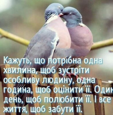 Колись давно один дуже гордий баран відбився від своєї зграї