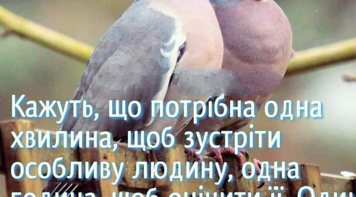 Колись давно один дуже гордий баран відбився від своєї зграї