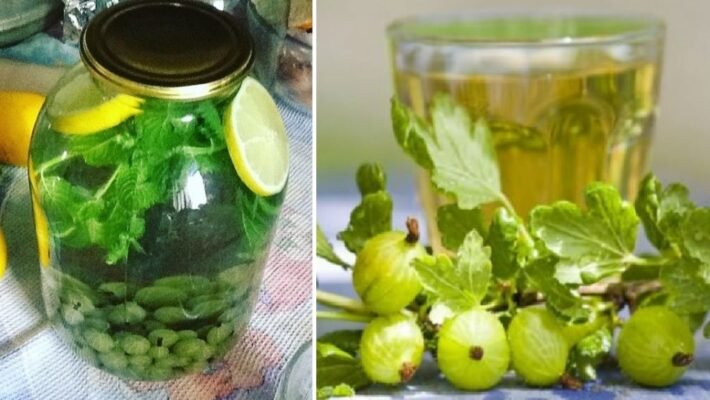 Як приготувати ідеальний мохіто з агрусу: покроковий рецепт