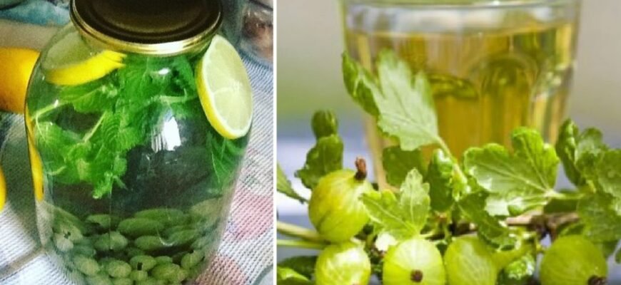 Як приготувати ідеальний мохіто з агрусу: покроковий рецепт