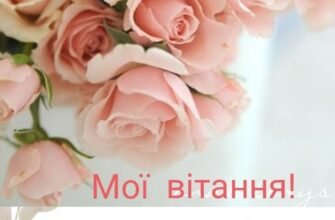 Люба моя половиночка, сьогодні ми відзначаємо нашу першу річницю